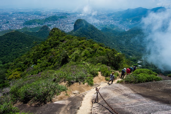 Une action pour protéger la plus grande forêt urbaine du monde