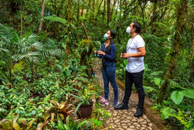 Le Guatemala cherche à promouvoir le tourisme ornithologique