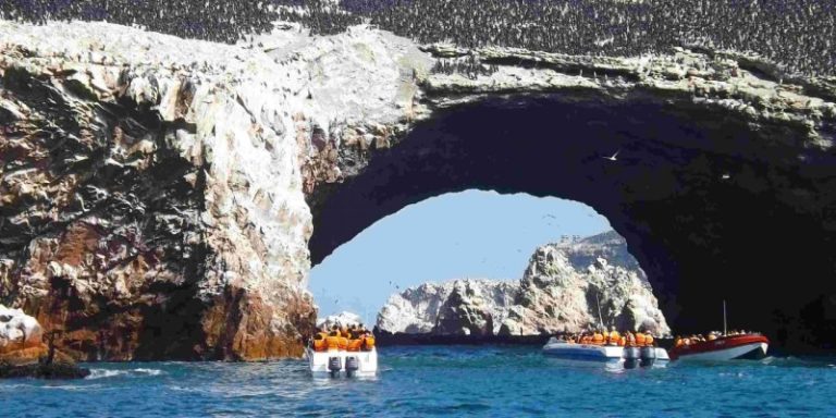 Les Iles ballestas de Paracas au Pérou