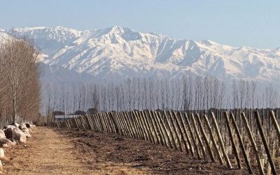 Le meilleur vignoble du monde est argentin pour la troisième fois