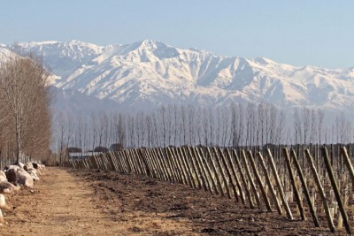 Le meilleur vignoble du monde est argentin pour la troisième fois