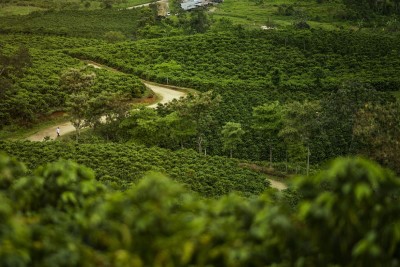 La Route magique du café dans la région de Huila en Colombie