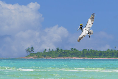 Sian Ka’an: Where the sky meets the earth in Yucatán