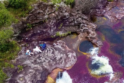 Caño Cristales: La Symphonie des Couleurs de la Colombie