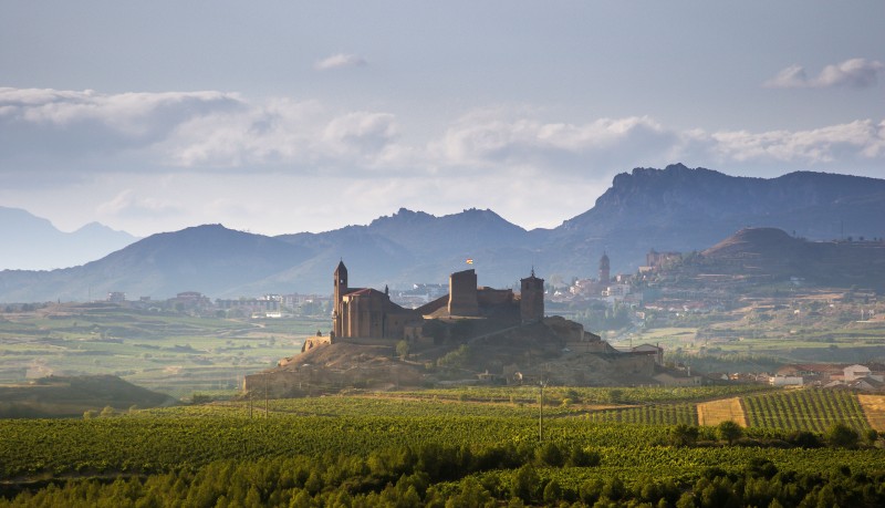 San Vicente de la Sonsierra y viñedos