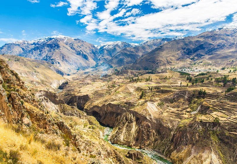 Canyon de Colca au Perou