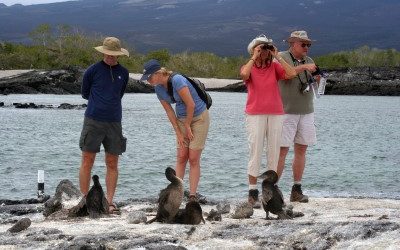 Increasing the Galapagos Entry Tax: A Turning Point for Ecological Tourism