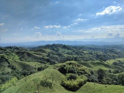 Région du café en Colombie 